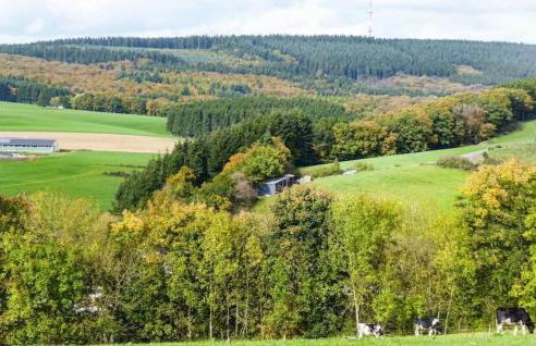 Eifel Holiday - Foto 12