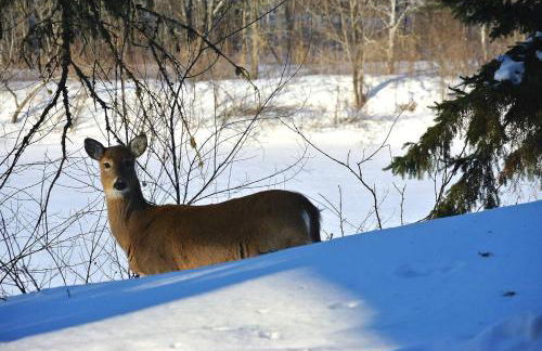 "Ecológico con Piscina Climatizada" y Sauna!! - Foto 1