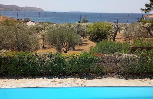 Anemelia & Helios Studio - Foto 23