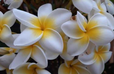 Casa Julietta - Foto 6