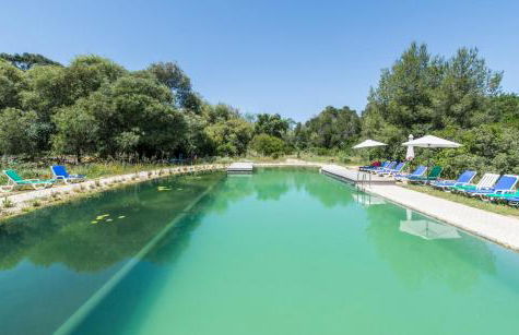 Quinta de São Pedro - Photo 3