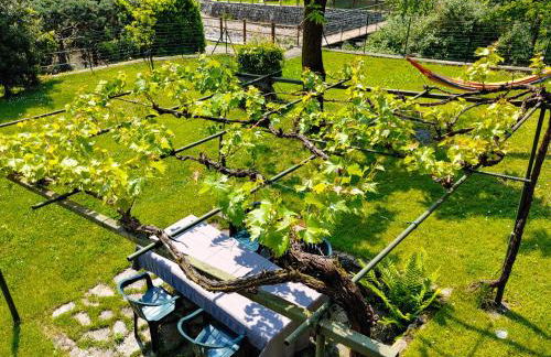 PaPepp - Ferienhaus - Foto 26