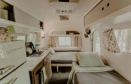Streamside ShinyTiny Airstream in the Smokies - Foto 8