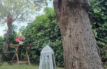 Villa Martina - Foto 10