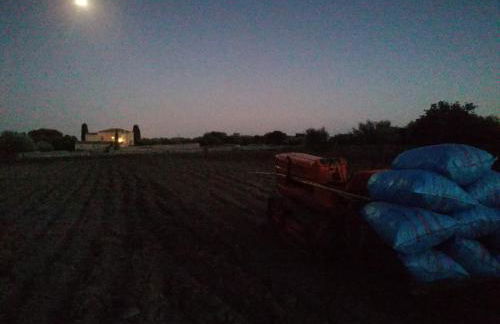 Agriturismo Baglio Calanchi - Foto 26