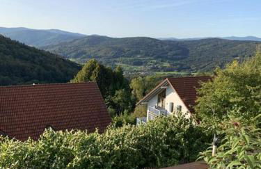 Ferienland Sonnenwald Fewo 46 und Studio 50 in Schöfweg Bayerischer Wald - Foto 34