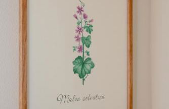 Agriturismo La Costa - Photo 2