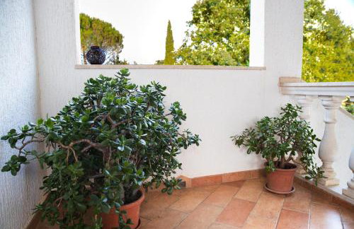 Apartments with parking space Sveti Lovrec, Central Istria - Sredisnja Istra - 24888 - Foto 12