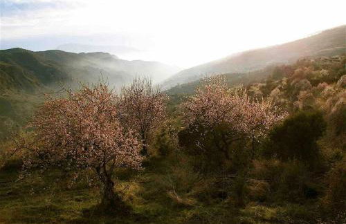 Casa Carmela, rural house with spectacular views, in an exquisite area - Foto 13