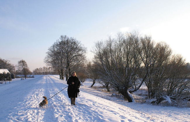 Holiday Home Deichkind on the Elbe Dike - Foto 17