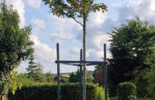 Ferienhaus Vogelsberg - Photo 11