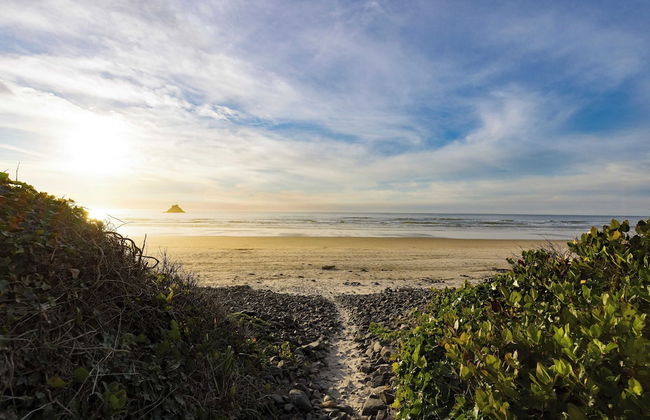 Royal Canoe by Avantstay Walk to the Shore + Private Yard - Foto 52