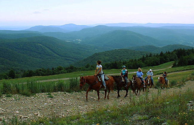 Top of the World - Foto 14