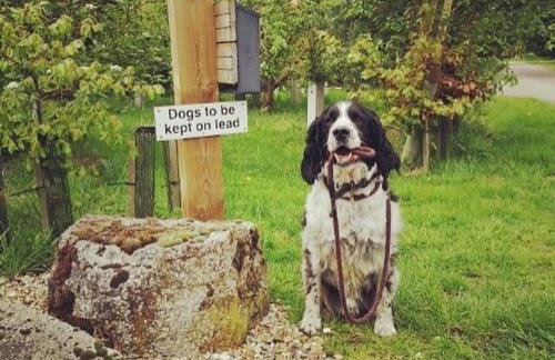 Teal Lodge - Foto 22