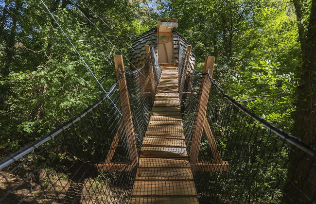 L'Arbre à Cabane - Foto 48