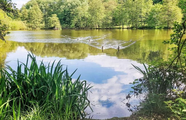 Holiday Home in Hesse with Infrared Sauna near Sauerland - Foto 43