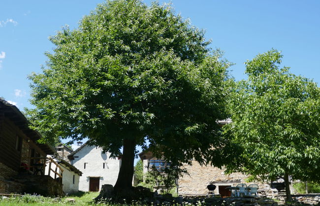 Rustico Ingrid (MVA338) - Foto 23