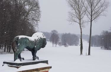 Ferienwohnungen Stricker - Foto 7