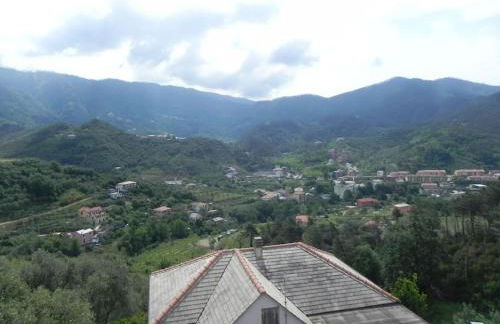 azienda agricola zulin casa elena - Foto 60