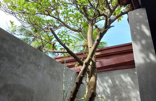 Indra Sisila Villa Bentota - Foto 16