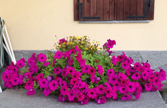 Agriturismo La Grange - Foto 32