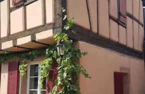 Gite familiale avec piscine Hunawihr, proche de Ribeauvillé et Colmar - Foto 29