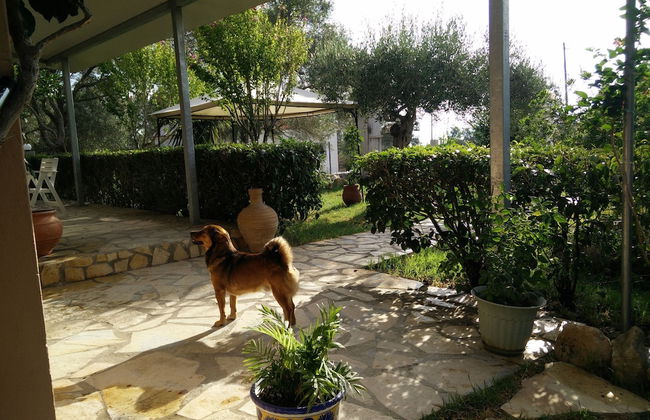 Villa Lou Corfu - Kalivioti Beach - Photo 31