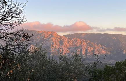 Appartement dans le coeur de Sartène, la plus corse des villes corses - Foto 18
