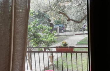 John and Tania's Garden - Photo 22