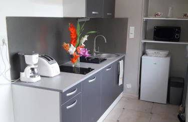 Logis de LANGE studio 2 p - Foto 1