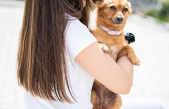 Sousa Horizonte - Louredo - Foto 73