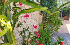 Filanthi's Retreat In Mani's Nature - Foto 26