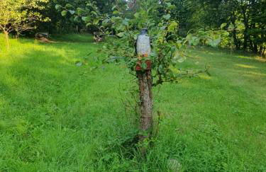 Wünschel Stube - Foto 31