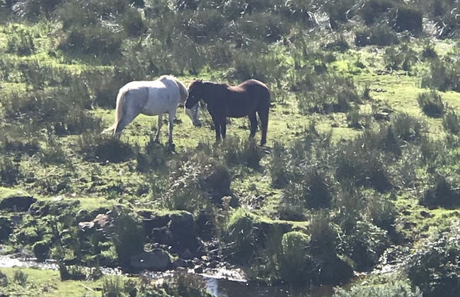 Mullach Cottage - Foto 27