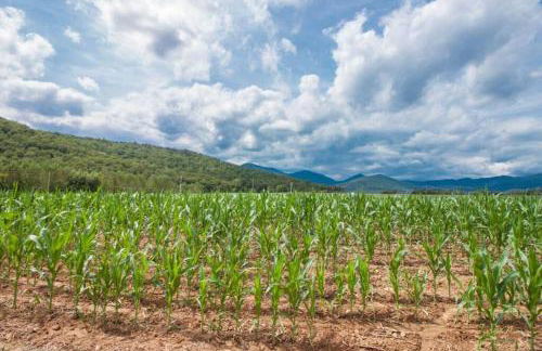 La Cabanya Planella - Foto 34