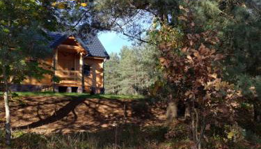 Mazurska bania u Pana Szeptuna - drewniany dom na skraju lasu - Foto 4, Garden view