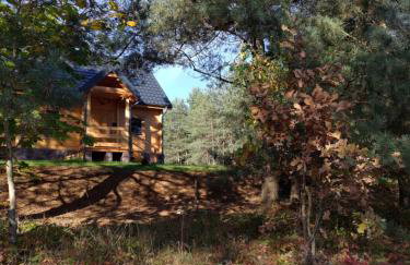 Mazurska bania u Pana Szeptuna - drewniany dom na skraju lasu - Foto 4