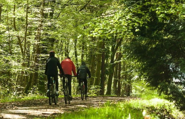 Etape en forêt - Foto 56