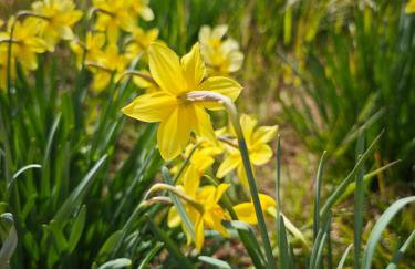 Esperia Holiday House - Foto 8