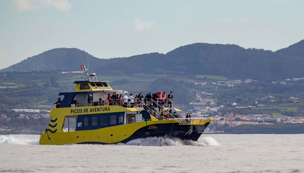 São Miguel Boat Ride + Whale Watching - Foto 5