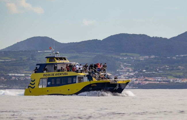 São Miguel Boat Ride + Whale Watching - Photo 4