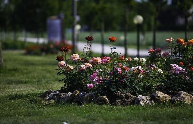 Agriturismo La Borina - Foto 68