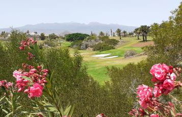 Edificio Cañadas - Foto 22