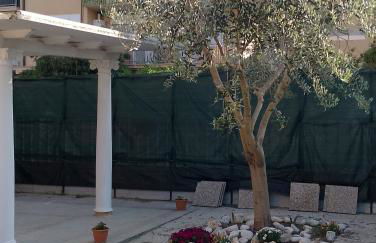 Stella Marina - Foto 16