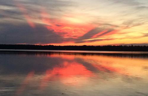 Erholungshaus "Kolibri" direkt in WandlitzWald See, Haustiere - Photo 16