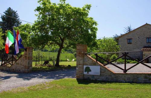 Holiday Home in Pietrafitta Near Lake Trasimeno - Photo 54