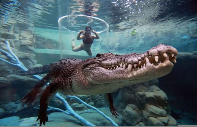 Zen Oceanscape Balcony - Parking - Foto 22