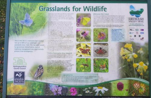 Chatterley House - Foto 118