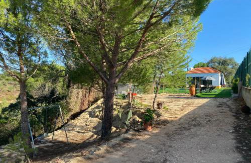 Monte da Marouca-Mont’Argil - Foto 63