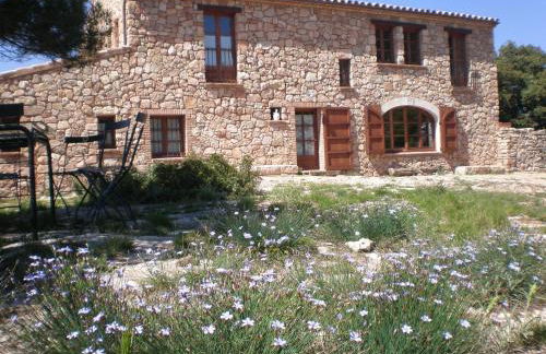 Mas del Salin - Foto 1